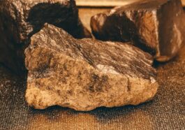 Troy Caupain to Return for Nasty Nati This Summer